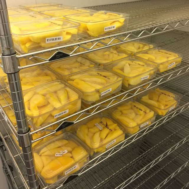 thumbnail for publication: Fresh-Cut Mango Best Management Practices Manual